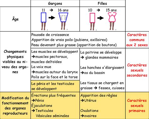 Consid©♭rations anatomiques et physiologiques sur la vie de la femme. - Handbook of marriage and the family.