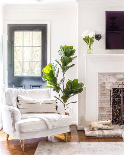 Consider Color﻿s of the Year to Refresh Home for Spring