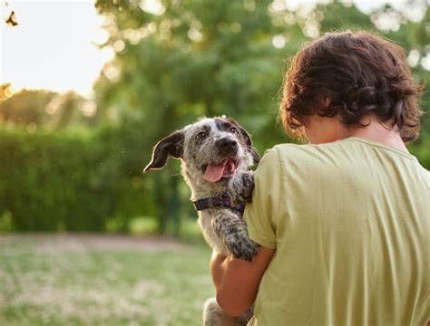 Consider Pet Adoption Programs for Companionship