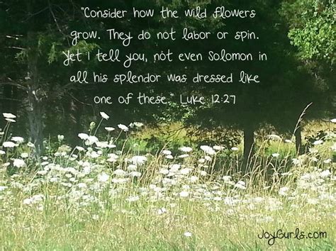 Consider the wildflowers. Things To Know About Consider the wildflowers. 