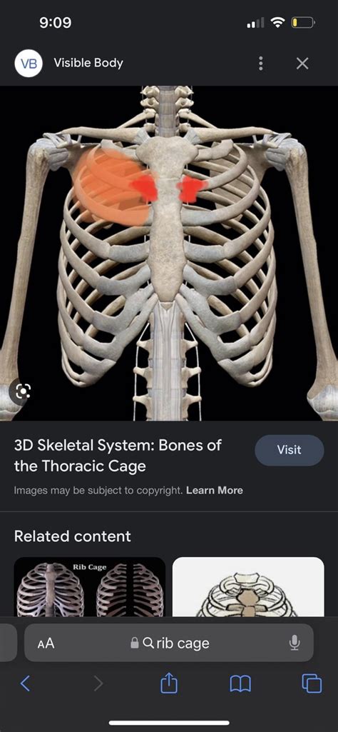 Constant dizziness : r/costochondritis