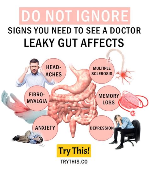 Constipation cure : r/LeakyGutSyndrome - Reddit