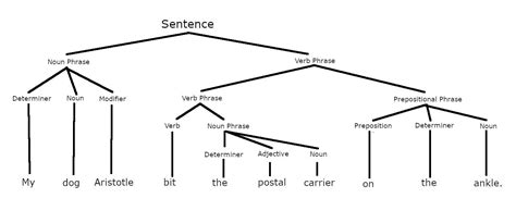 • A constituent is a string of words that acts as a unit in the syntax. • Constituency can be shown using a syntax tree. • Trees have nodes & branches • A particular node may have a mother, a sister, and/or a daughter. CONSTITUENTS • Some words are more closely related than others. .... 
