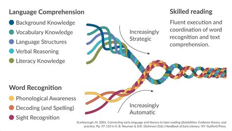Constructing a Deep Reading Brain Science of Reading