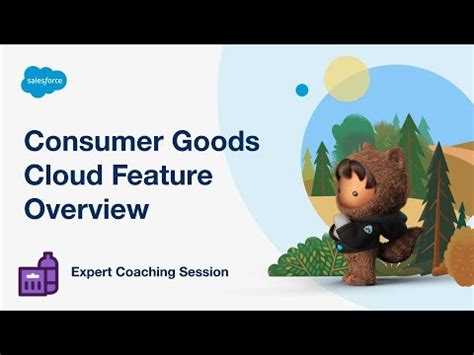 Consumer-Goods-Cloud Lernhilfe