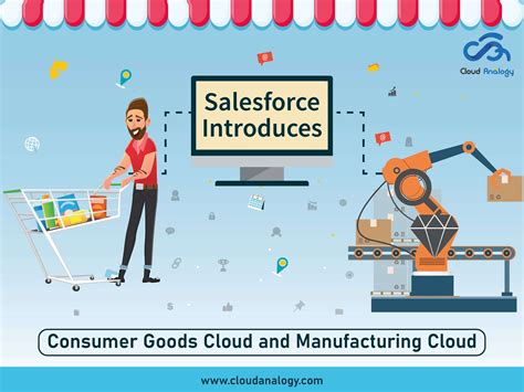 Consumer-Goods-Cloud Online Tests