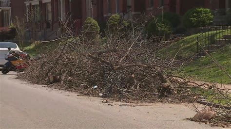 Contact 2 gets action and answers on tree debris in Fox Park neighborhood