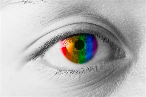 Contact Lenses for Color Vision Pass a Color Blind Test