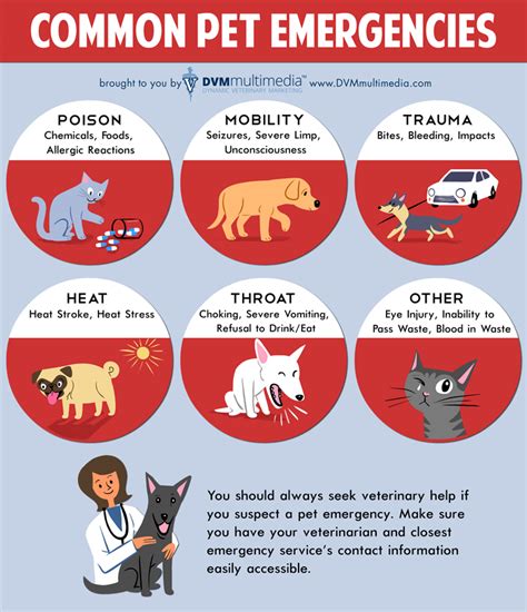 Contact Us - Animal Emergency