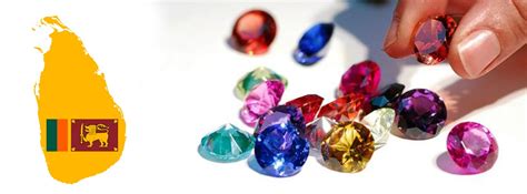 Contact Us GEMS