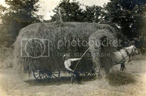 Contact information - The Hay Guy