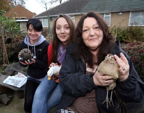 Contacts - Meltham Wildlife Rescue