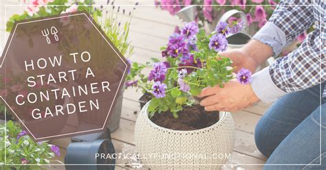 Container gardening a step by step guide for beginners. - Generac generators parts manual for qp55.