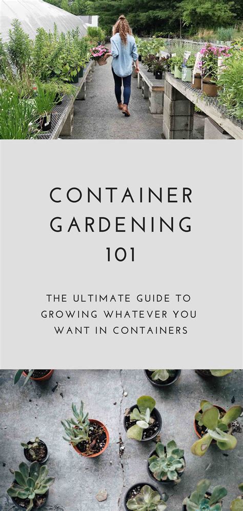 Container gardening for beginners the ultimate guide to vegetable gardening for beginners winter gardening. - Instrument control and electrician technician study guide.