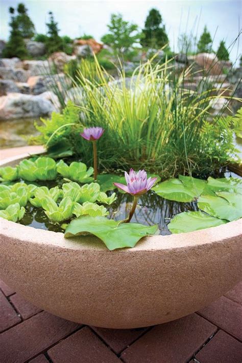 Container pond. Feb 7, 2020. #1. HI everyone! I wanted to add a heater to my 20 gallon container pond during summer this year (about May 15th to September 15th) in zone 5 to make conditions more stable for the plants (this water garden would most likely not have fish...it's quite shallow). I wanted to set the heater to 70 degrees so that the tank is ... 