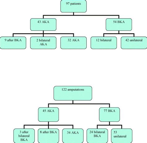 Contemporary Series of Morbidity and Mortality after Lower Limb ...