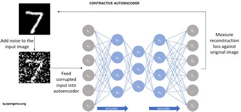 Contractive autoencoder.  This penalty encourages the model to learn a robust and ...