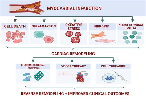 Contribution of ischaemic heart diseases (IHD) to changes in life ...