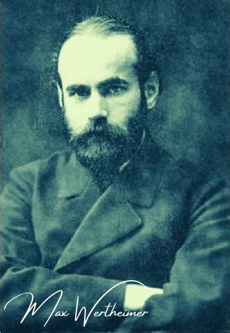 Contribution of max wertheimer