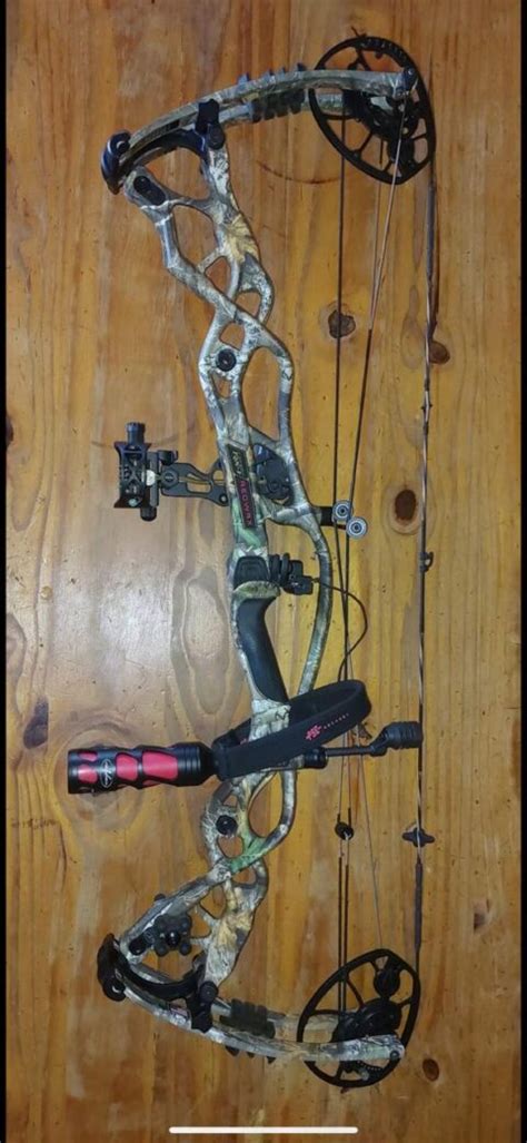 Controlled Bow Hunting Opens September 24, 2024