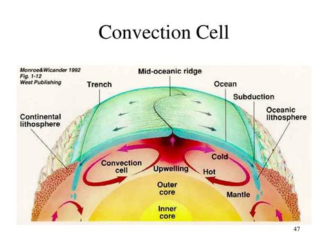 Convection Cell