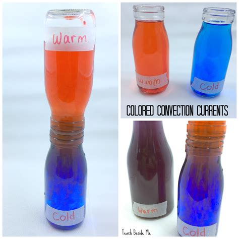 Convection Current Experiment - The Homeschool …