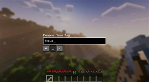 Convenient Name Tags Minecraft Mod