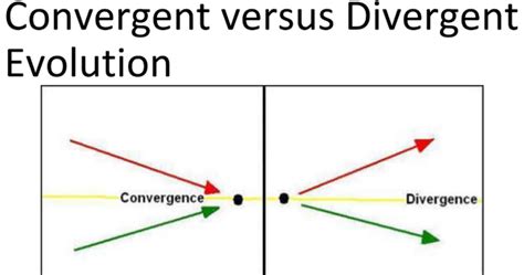 Convergence vs divergence calculator. Things To Know About Convergence vs divergence calculator. 
