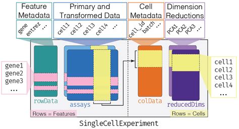 Conversion between Seurat and SingleCellExperiment results in rowData