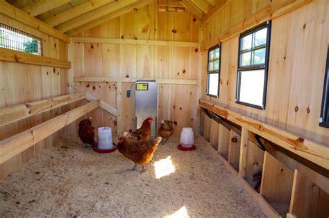 Convert Existing Shed into Chicken Coop for Low Cost