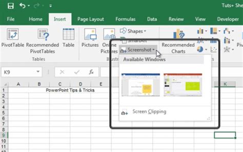 Convert Screen Capture To Excel