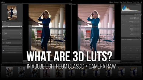 Convert lightroom preset to lut.  LUTs offer a unique approach to colour grading...