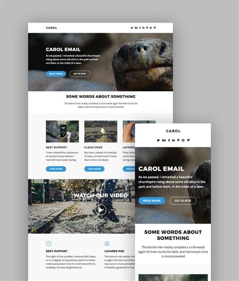 Convert your design layout into email template html coding by Riketa