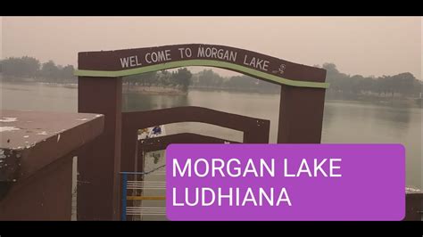 Cook Morgan Whats App Ludhiana