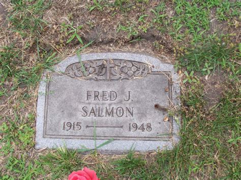 Cook county cemetery records. .  ...