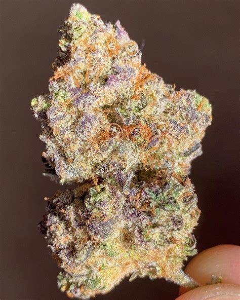 Cookies and cream strain. Compare up to 5 different strains at one time. Find out what's best for you and by how much! View parent(s), flavors, effects, medicals and negatives information about each strain all in one page. ... Cookies and Cream (100%) Pain. Cookies and Cream (76%) Insomnia. Cookies and Cream (58%) Depression. Cookies and Cream (56%) Nausea. Cookies … 