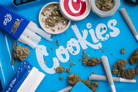 Cookies dispensary gainesville fl. Cookies Gainesville Soft Opens tomorrow 6/24 and all of r/FLMedicalTrees is invited and gets a FREE preroll! (Grand Opening 7/1) Cookies 🍪 https://www.cookiesgainesville.com. 9am-9pm 626 NW 13th Street, Gainesville, FL 32601 Stop by tomorrow or anytime this week. Menu is loaded and we will be fully operational, so help us warm up for our ... 