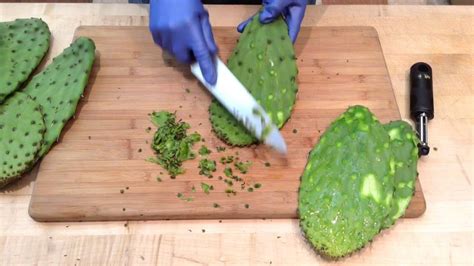 Choose small or medium-size firm pads. They should not be wrinkled, soggy or too soft. If you are growing prickly pear cactuses in your garden, the pads are .... 