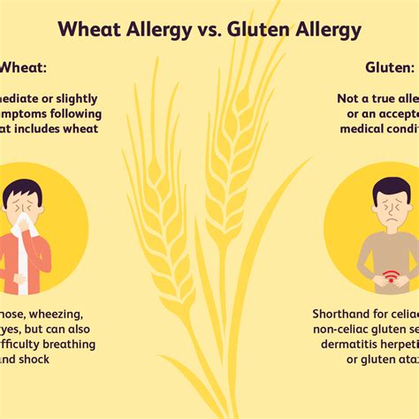 Cooking well wheat allergies the complete health guide for gluten. - 2001 oldsmobile alero owners manual guide used downloads.