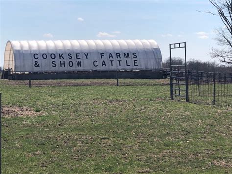 Cooksey Farms and Show Cattle & Keirns Club Calves ... - Lautner Farms