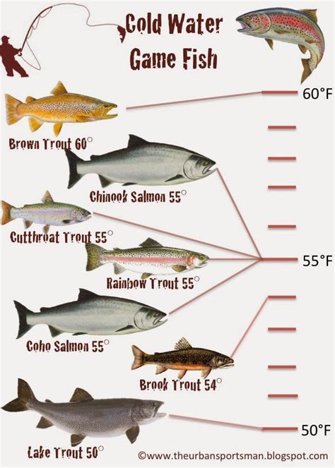 Cool Game And Fish Graph Arkansas References