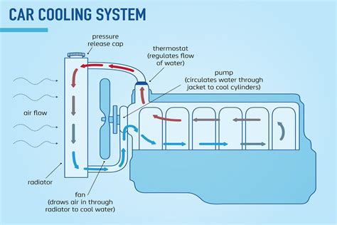 Coolant Flow Through Engine