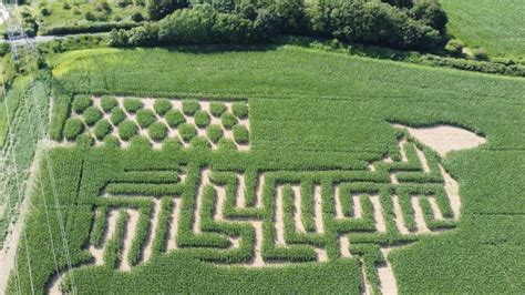 Coombes Amazing Maize Maze – Coombes Farm