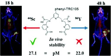 Coordination chemistry of [Y(pypa)] - and comparison immuno …