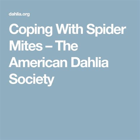 Coping With Spider Mites – The American Dahlia Society