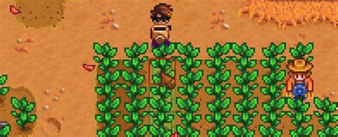 Copper watering can stardew. Copper_Watering_Can.png ‎(48 × 48 pixels, file size: 263 bytes, MIME type: image/png) ... song, or other Stardew Valley asset, or derivative of Stardew Valley ... 