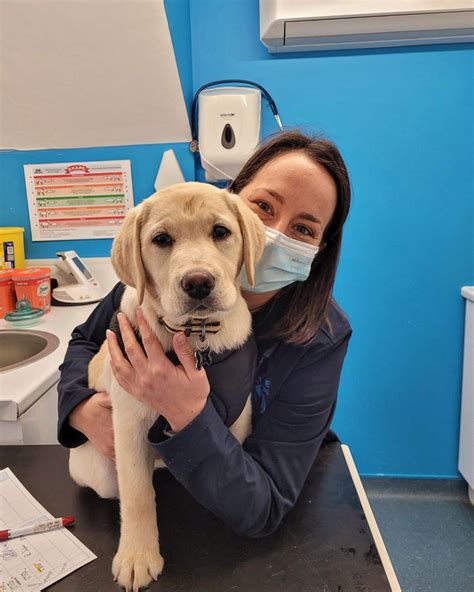 Copthorne Vets - We think Widget enjoyed being hand fed...