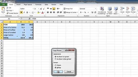 Copy Excel 2010 software
