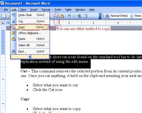 Copy MS Word 2009 new