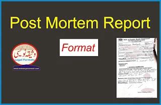 Copy of post mortem report.  Go back into Visual Studio and open the copy ...